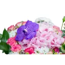 Bouquet with hydrangea